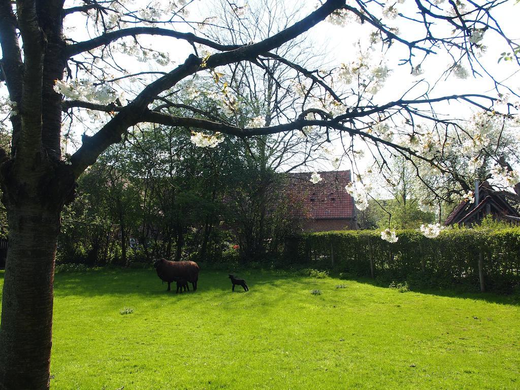 Villa Grote Goesting Holiday House Wevelgem Exterior foto